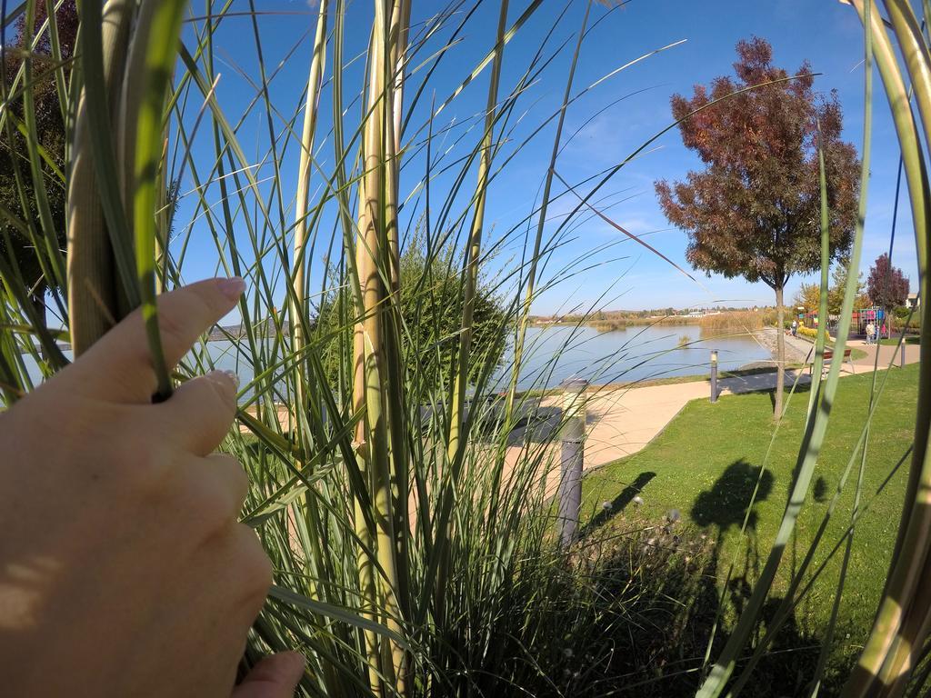 Lake And Spa Apartman Веленце Екстер'єр фото